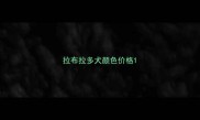 拉布拉多犬颜色价格