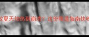边牧夏天怕热到崩溃这份降温指南快收好
