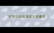 打完狂犬疫苗后注意事项