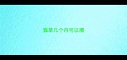 猫草几个月可以喂