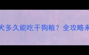 边牧幼犬多久能吃干狗粮全攻略来了