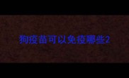 狗疫苗可以免疫哪些