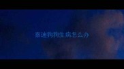 泰迪狗狗生病怎么办