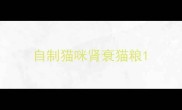 自制猫咪肾衰猫粮