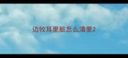 边牧耳里脏怎么清里