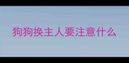 狗狗换主人要注意什么