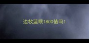 边牧蓝眼1800值吗
