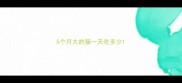 5个月大的猫一天吃多少