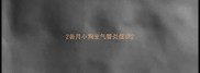 2各月小狗支气管炎症状