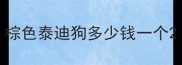 棕色泰迪狗多少钱一个