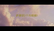 萨摩耶2个月眼睛