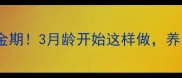 幼犬社会化训练黄金期3月龄开始这样做养出聪明好带教的狗狗