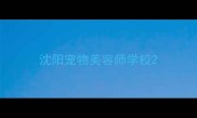 沈阳宠物美容师学校