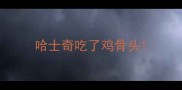 哈士奇吃了鸡骨头