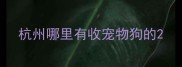 杭州哪里有收宠物狗的
