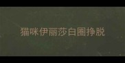 猫咪伊丽莎白圈挣脱