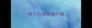 两个月狗狗像打嗝