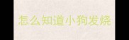 怎么知道小狗发烧