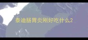 泰迪肠胃炎刚好吃什么