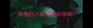 狗狗打八联疫苗后哆嗦