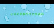 小金毛需要打什么疫苗吗