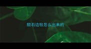 陨石边牧怎么出来的