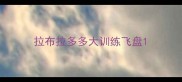 拉布拉多多大训练飞盘