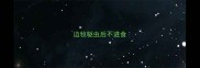 边牧驱虫后不进食