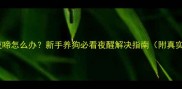 幼犬夜啼怎么办新手养狗必看夜醒解决指南附真实案例