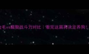 金毛vs藏獒战斗力对比看完这篇再决定养狗