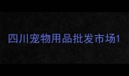 四川宠物用品批发市场