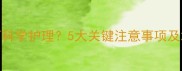 猫咪绝育后如何科学护理5大关键注意事项及术后恢复全攻略