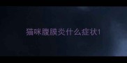 猫咪腹膜炎什么症状