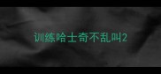 训练哈士奇不乱叫