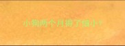 小狗两个月得了细小