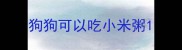 狗狗可以吃小米粥