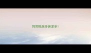 狗狗眼屎多鼻涕多
