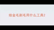 给金毛剃毛用什么工具