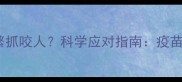 猫咪接种疫苗后频繁抓咬人科学应对指南疫苗反应与行为调整全