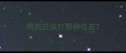狗狗应该打那种疫苗