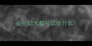 金毛幼犬都可以吃什么