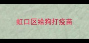 虹口区给狗打疫苗