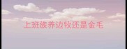 上班族养边牧还是金毛