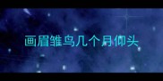 画眉雏鸟几个月仰头
