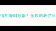 哈士奇发情期嚎叫频繁全攻略教你科学应对