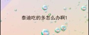泰迪吃的多怎么办啊
