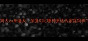 贵宾犬vs泰迪犬深度对比哪种更适合家庭饲养