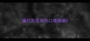 猫打完疫苗伤口像猫癣