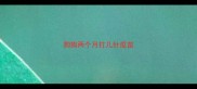 狗狗两个月打几针疫苗