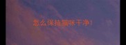 怎么保持猫咪干净